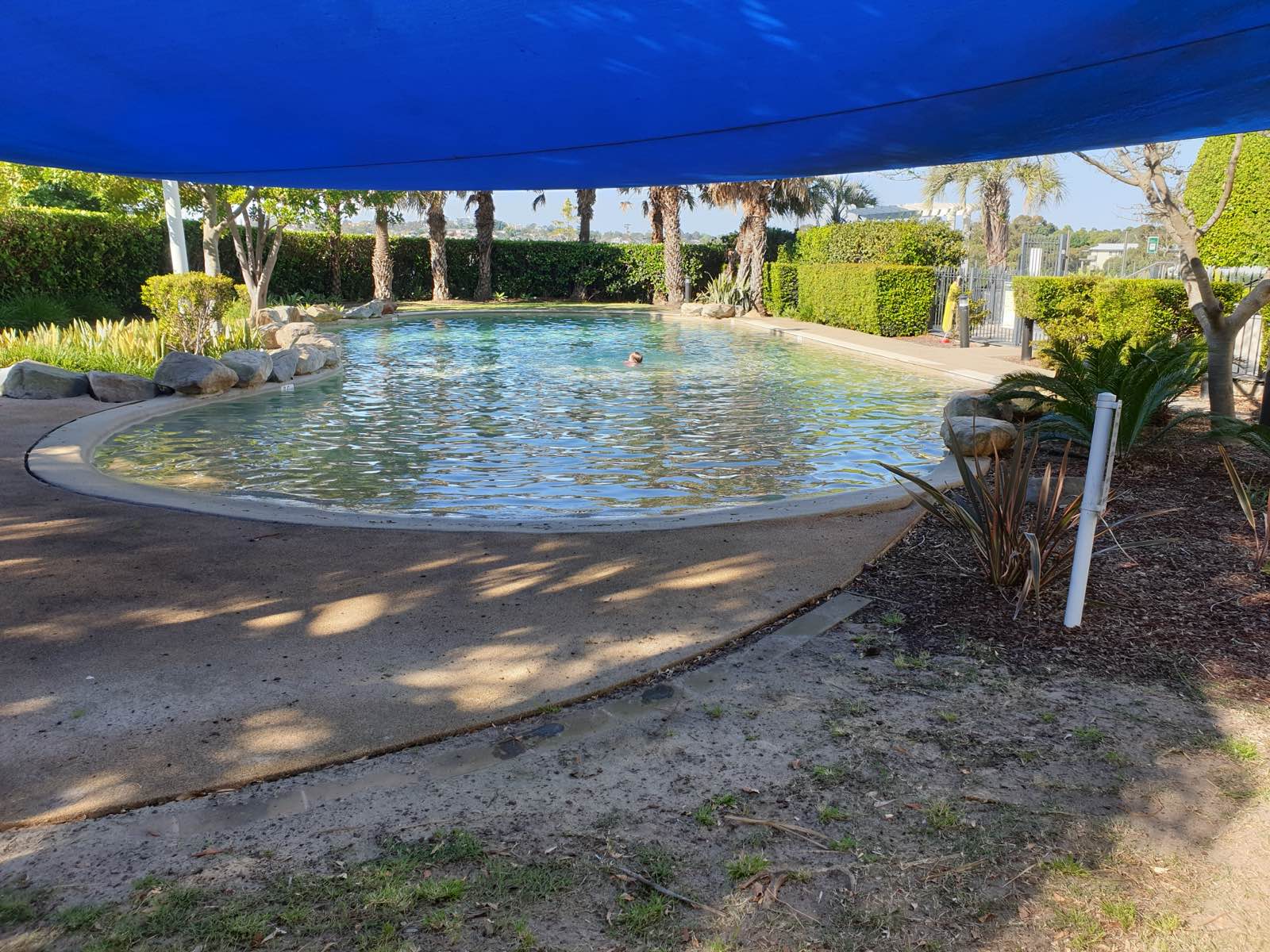 The lagoon pool with its beach entry and blue shade sail, palms behind