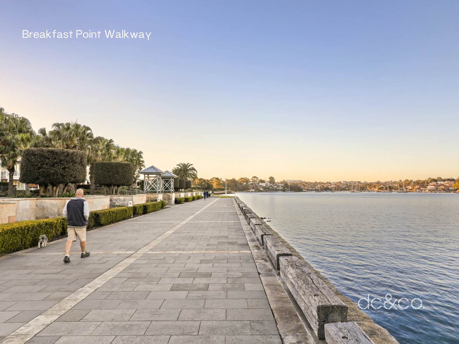 The Breakfast Point foreshore promenade at golden hour, with a resident walking a dog beside the river